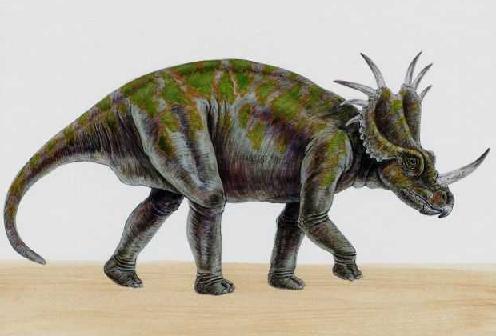 Styracosaurus