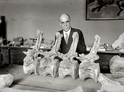 Charles W. Gilmore